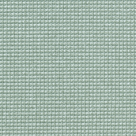 グレイッシュミント