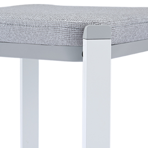 W<br />
ホワイト塗装・グレーシェル